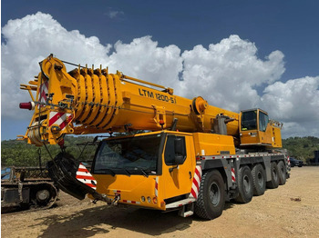 Grúa todo terreno LIEBHERR