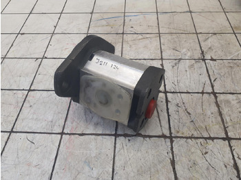 Bomba hidráulica para Grúa Rexroth Mannesmann Rexroth gear pump: foto 2