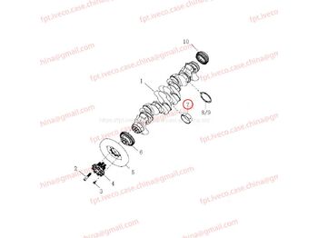 Cojinete de motor MAN