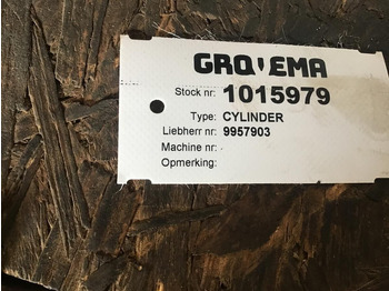 Cilindro hidráulico Liebherr Cylinder: foto 2 Cilindro hidráulico Liebherr Cylinder: foto 2