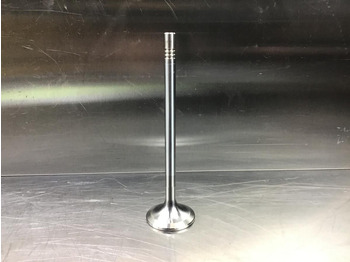 Motor y piezas LIEBHERR