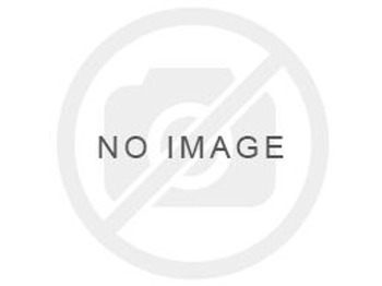 Silenciador LIEBHERR