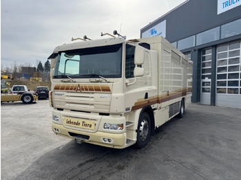 Camión transporte de ganado DAF CF 410