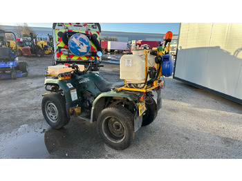 Cuadrimoto YAMAHA GRIZZLY 350: foto 3