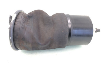 Suspensión neumática DAF