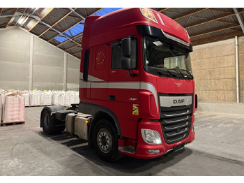 Cabeza tractora DAF DAF XF 480 SSC: foto 2