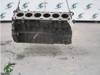 Motor y piezas DAF