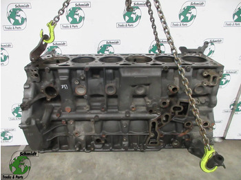 Motor y piezas DAF
