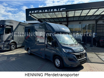 Leasing para Opel Movano 3 - Sitzer *AUFBAU NEU*  Opel Movano 3 - Sitzer *AUFBAU NEU*: foto 1