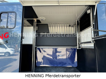 Leasing para Opel Movano 3 - Sitzer *AUFBAU NEU*  Opel Movano 3 - Sitzer *AUFBAU NEU*: foto 4