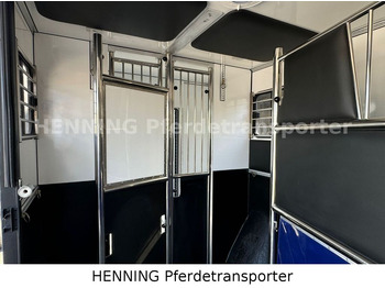 Leasing para Opel Movano 3 - Sitzer *AUFBAU NEU*  Opel Movano 3 - Sitzer *AUFBAU NEU*: foto 5