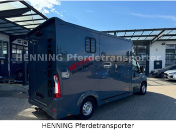 Leasing para Opel Movano 3 - Sitzer *AUFBAU NEU*  Opel Movano 3 - Sitzer *AUFBAU NEU*: foto 2