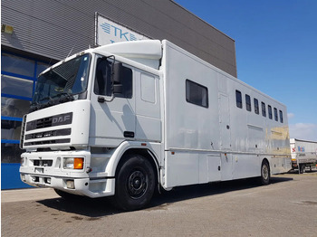 Camión para caballos DAF 95 350