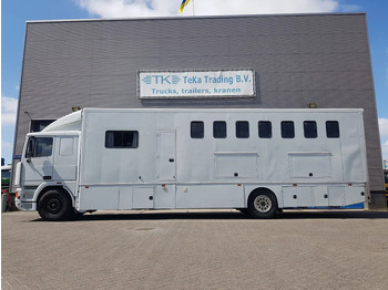 Camión para caballos DAF 95.350 Paardenwagen met zitverblijf 7 paarden 7 horses: foto 3