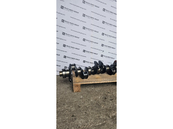 : imagen de cabecera