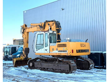 Excavadora de cadenas Liebherr R904 HDSL Litronic: foto 2
