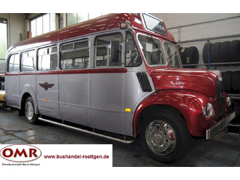 Autobús