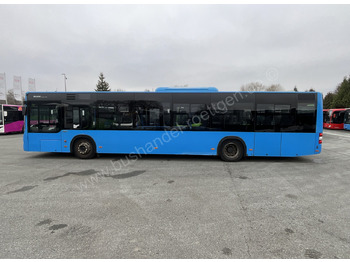 Leasing para MAN A 21 Lions City MAN A 21 Lions City: foto 5 Leasing para MAN A 21 Lions City MAN A 21 Lions City: foto 5