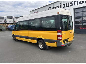 Minibús, Furgoneta de pasajeros Mercedes-Benz 516 CDI Sprinter: foto 3