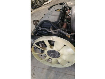 Motor para Camión IVECO F3AE3681A IVECO STRALIS truck: foto 5