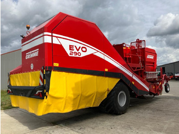 Arrancadora de patatas Grimme EVO 290 EASYSEP // 396 HA: foto 4