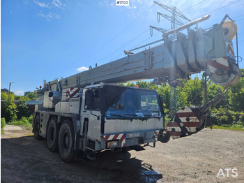 Camión grúa Żuraw samochodowy Liebherr 1050-1 (1995): foto 2
