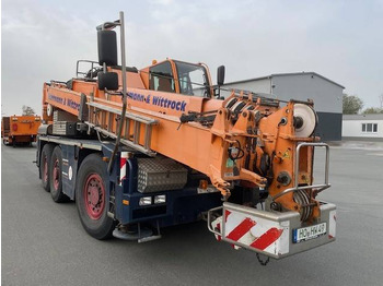 Grúa todo terreno DEMAG