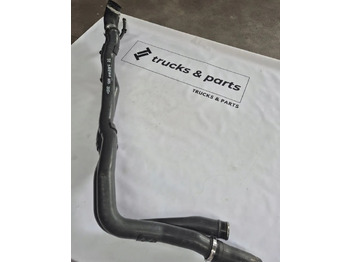 : imagen de cabecera