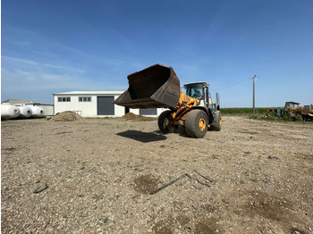 Cargadora de ruedas LIEBHERR 564 FRONT LOADER: foto 5