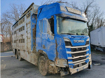 Camión transporte de ganado SCANIA R 580
