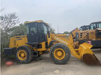 Cargadora de ruedas XCMG LW300F
