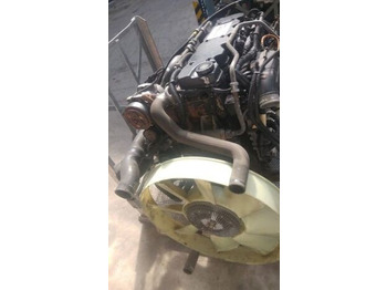 Motor para Camión IVECO F4AE3681A   IVECO EUROCARGO F4AE3681A truck: foto 3