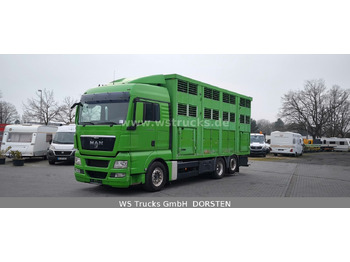 Camión para caballos MAN TGX 26.480 XL KABA   3 Stock Vollalu: foto 2