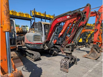 Leasing para Neuson 50Z3 RD Neuson 50Z3 RD: foto 1