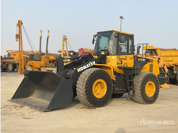Cargadora de ruedas 2019 Komatsu WA380Z-6: foto 2