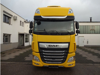 Camión portacontenedore/ Intercambiable DAF XF 480, Jumbo BDF, SSC, Standklima, Intarder: foto 2
