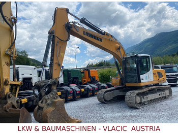 Excavadora de cadenas LIEBHERR R 924