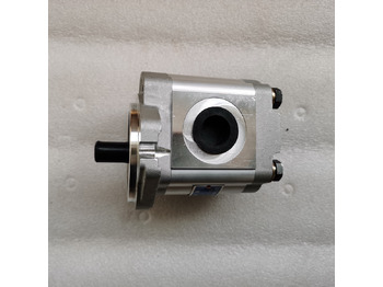 Leasing para QINGDAO PROMISING Hydraulic Pump CBWA-F314-AL5Φ9 QINGDAO PROMISING Hydraulic Pump CBWA-F314-AL5Φ9: foto 4
