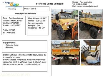 Camión UNIMOG