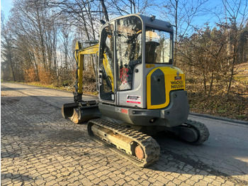 Leasing para WACKER Neuson EZ 38 WACKER Neuson EZ 38: foto 5