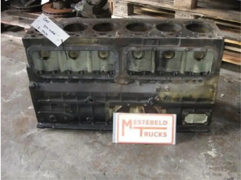 Motor y piezas DAF