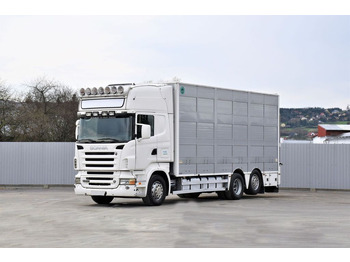 Camión transporte de ganado SCANIA R 500