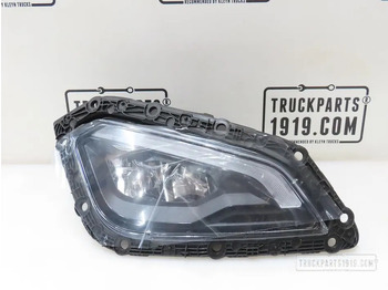 Luz/ Iluminación DAF XG