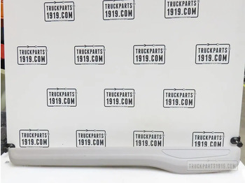 Cabina e interior SCANIA