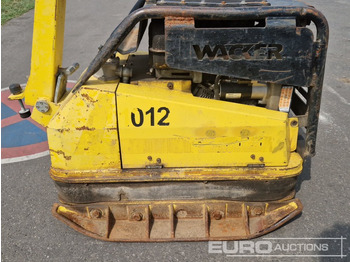 Construcción de carreteras Wacker Neuson Walk Behind Compaction Plate: foto 5
