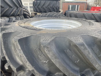 Neumáticos y llantas