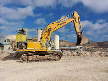 Leasing para Liebherr R954CHD Li Liebherr R954CHD Li: foto 2