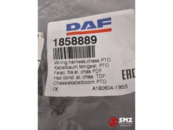 Cables/ Alambres para Camión DAF Occ Kabelboom chassis PTO DAF XF105: foto 2