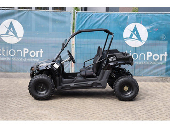 Carrito de golf nuevo Wextrem UTV-ATV 200 Pro: foto 2