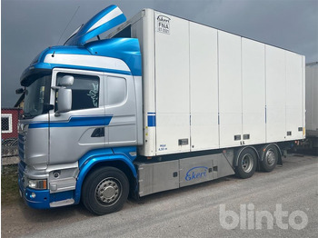 Camión SCANIA R 580